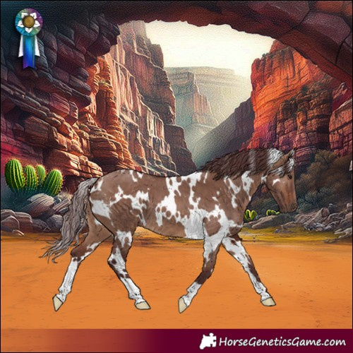 Horse Color:White Spotted Chocolate Brown Dun 