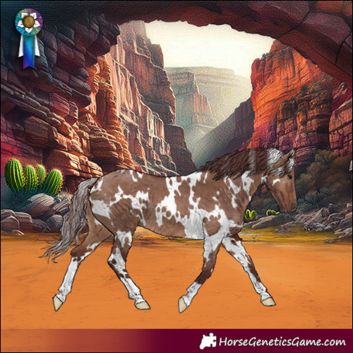 Horse Color:White Spotted Chocolate Brown Dun