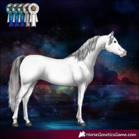 Horse Color:Liver Chestnut Sabino Appaloosa Rabicano 