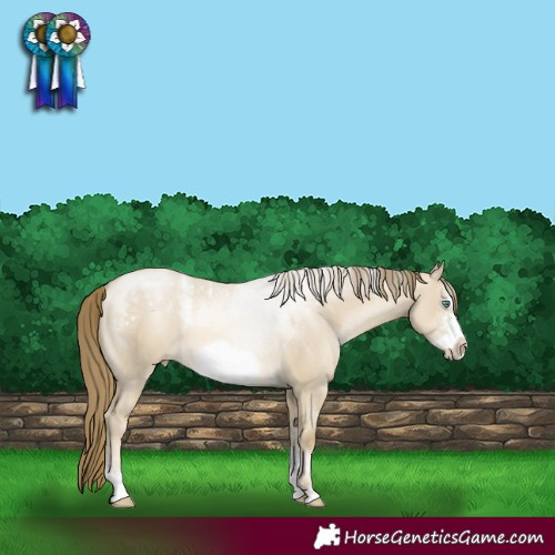 Horse Color:Powder White Smoky Grullo Pearl Sabino Frame Rabicano 