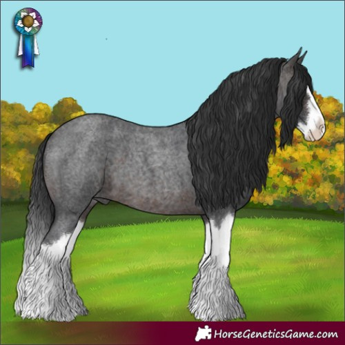 Horse Color:Brown Roan Splash