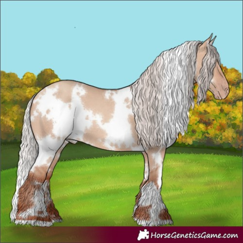 Horse Color:White Spotted Silver Sable Champagne Dun 