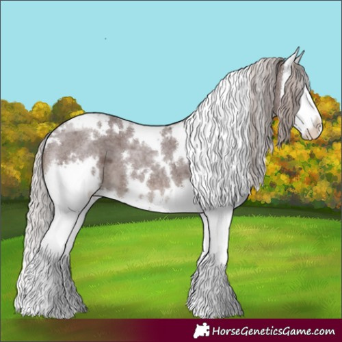 Horse Color:White Spotted Chocolate Silver Blue Roan Splash