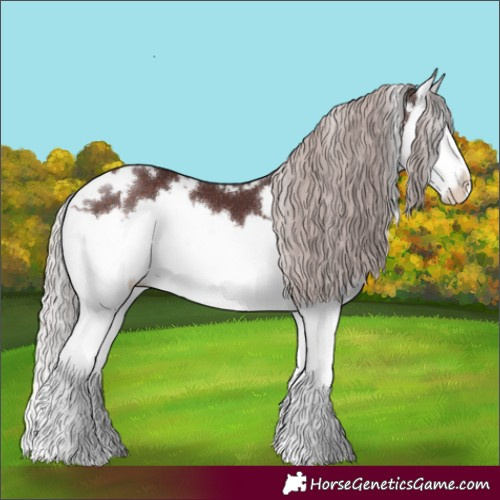 Horse Color:White Spotted Chocolate Silver Brown Splash 