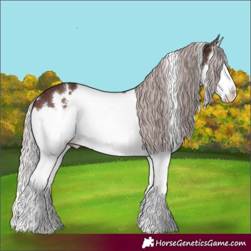 Horse Color:White Spotted Chocolate Silver Brown Splash 