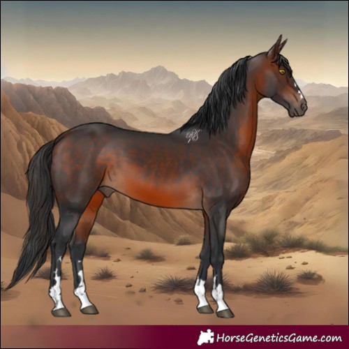 Horse Color:Brown 