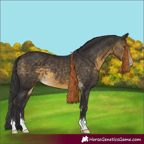 Horse Color:Buckskin