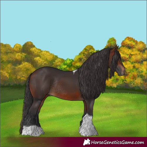Horse Color:Unknown 