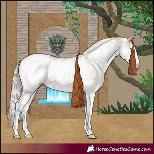 Horse Color:White Spotted Silver Buckskin Pearl 