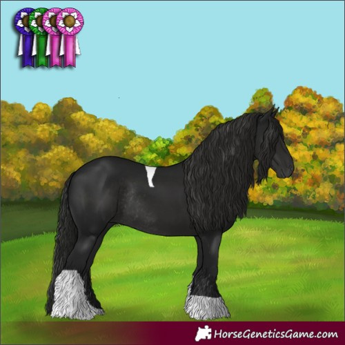 Horse Color:Gray Black Tobiano Rabicano 