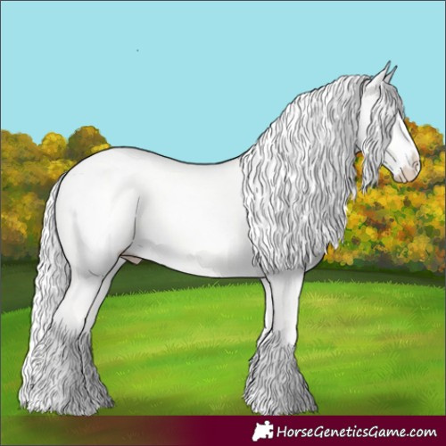 Horse Color:Cremello Dun 