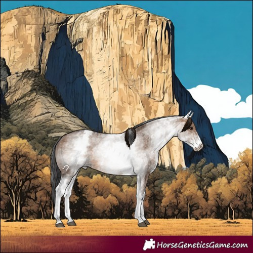 Horse Color:White Spotted Brown Dun