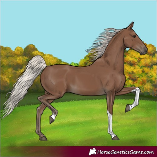 Horse Color:Silver Black Tobiano