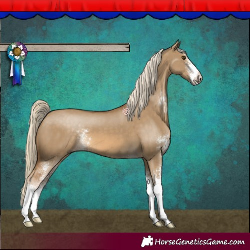 Horse Color:Chocolate Palomino Dun Sabino