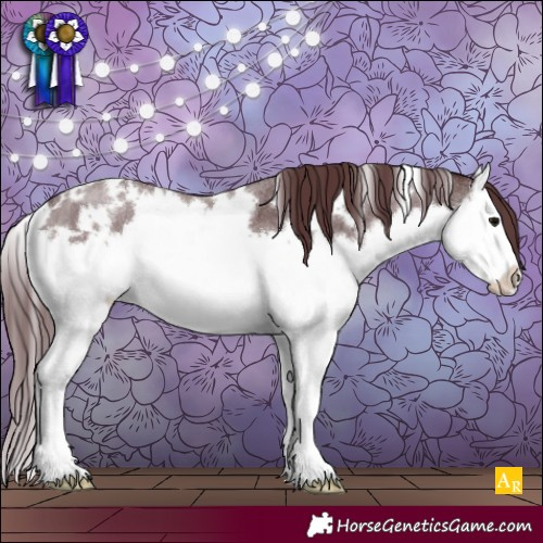 Horse Color:White Spotted Chocolate Brown Roan Splash 
