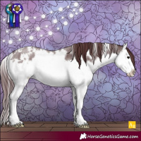 Horse Color:White Spotted Chocolate Brown Roan Splash 