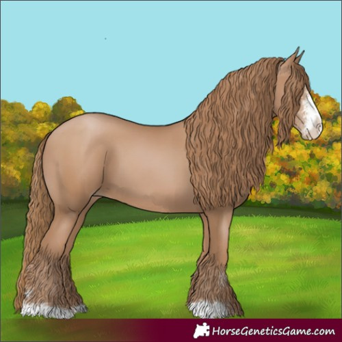 Horse Color:Black Pearl Sabino 