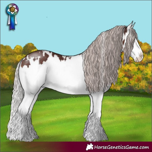 Horse Color:White Spotted Chocolate Silver Brown Splash