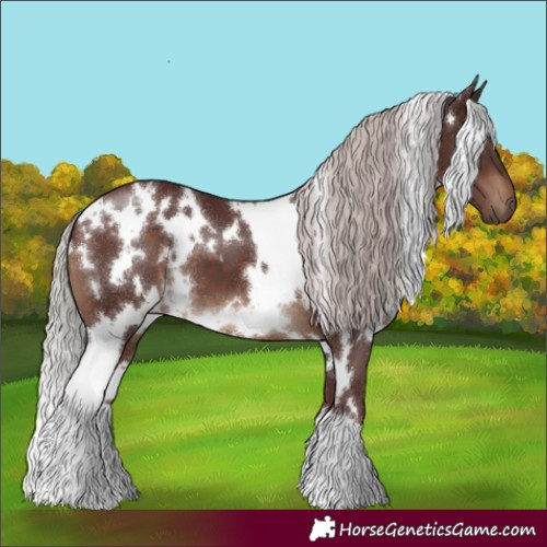 Horse Color:White Spotted Chocolate Silver Brown 