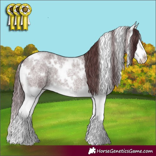 Horse Color:White Spotted Chocolate Brown Roan Splash