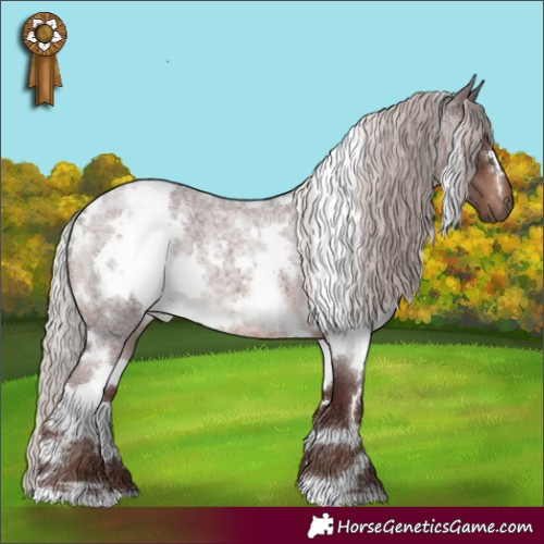 Horse Color:White Spotted Chocolate Silver Brown Roan