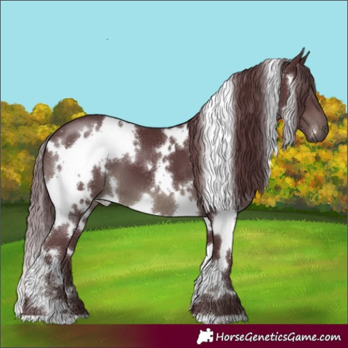 Horse Color:White Spotted Chocolate Black 