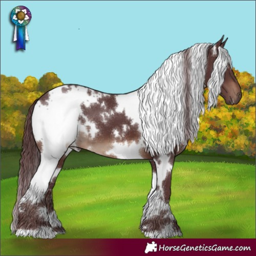 Horse Color:White Spotted Chocolate Brown 