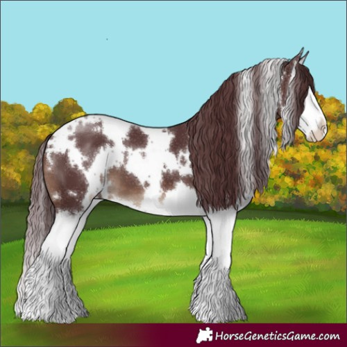 Horse Color:White Spotted Chocolate Brown Splash 