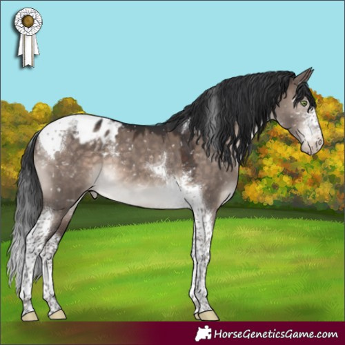 Horse Color:Brown Dun Mushroom Sabino Tobiano Appaloosa 