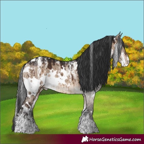 Horse Color:Powder White White Spotted Brown Dun Appaloosa Brindle