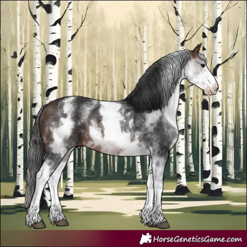 Horse Color:White Spotted Brown Rabicano