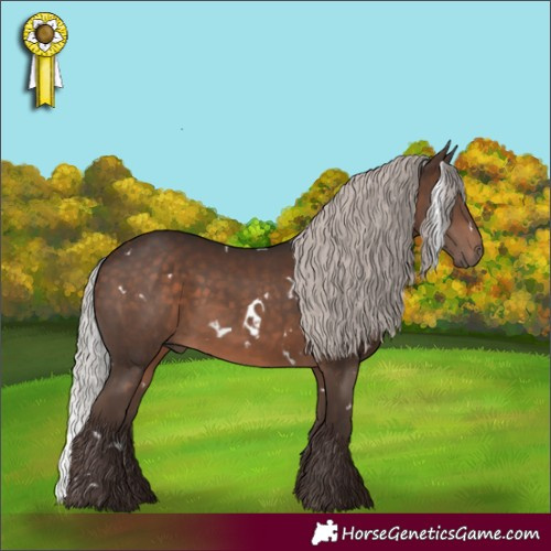 Horse Color:White Spotted Silver Brown 