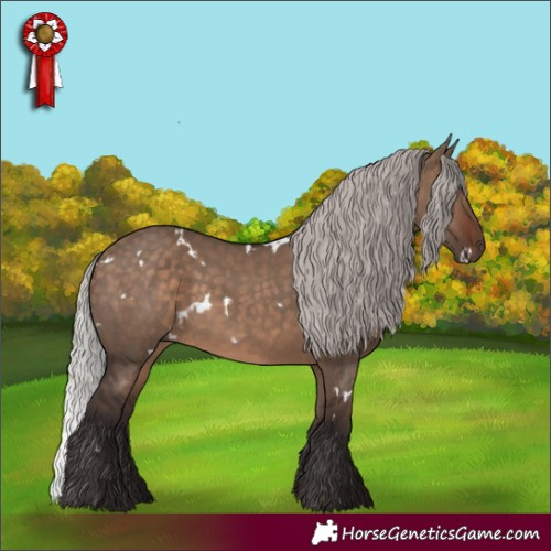 Horse Color:White Spotted Silver Brown Dun Rabicano