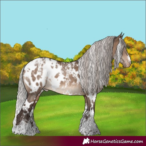 Horse Color:Powder White White Spotted Silver Brown Dun Appaloosa