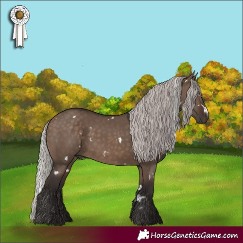 Horse Color:White Spotted Silver Brown Dun
