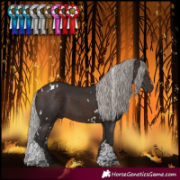 Horse Color:White Spotted Silver Brown Tobiano