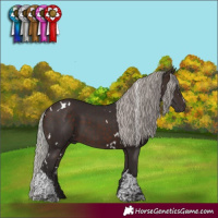 Horse Color:White Spotted Silver Brown Tobiano