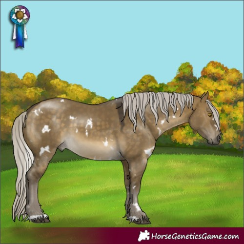 Horse Color:White Spotted Silver Buckskin Dun 