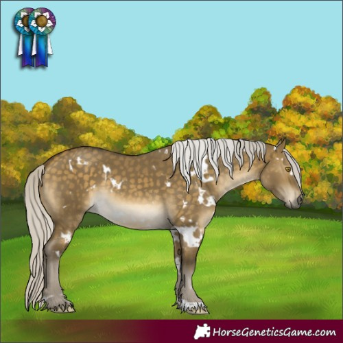 Horse Color:White Spotted Silver Buckskin Dun 