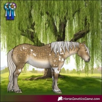 Horse Color:White Spotted Silver Buckskin Dun