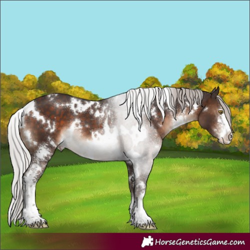 Horse Color:White Spotted Silver Brown Sabino