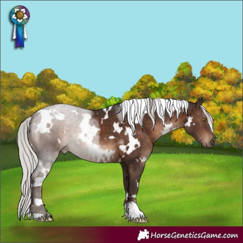 Horse Color:White Spotted Silver Brown
