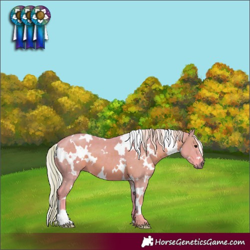Horse Color:Watercolor White Spotted Silver Black