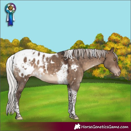 Horse Color:White Spotted Silver Brown Dun Tobiano Appaloosa 