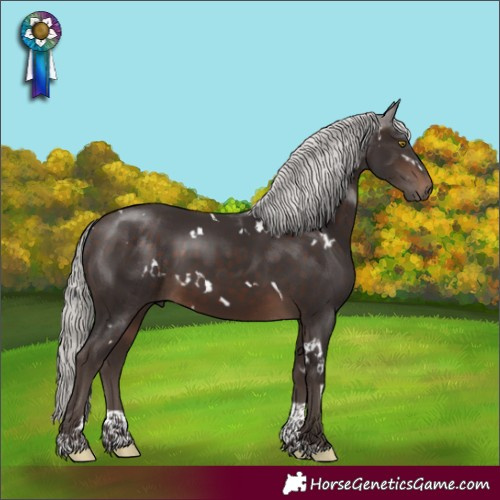 Horse Color:White Spotted Silver Brown Tobiano Rabicano
