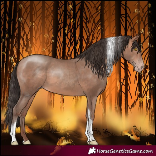 Horse Color:Sable Champagne Tobiano Rabicano