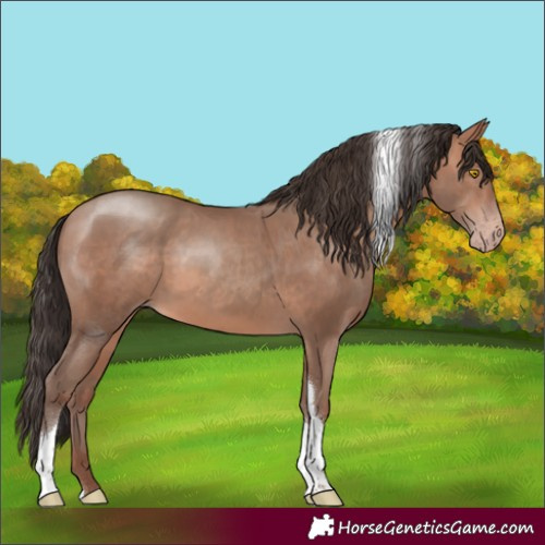 Horse Color:Sable Champagne Tobiano Rabicano