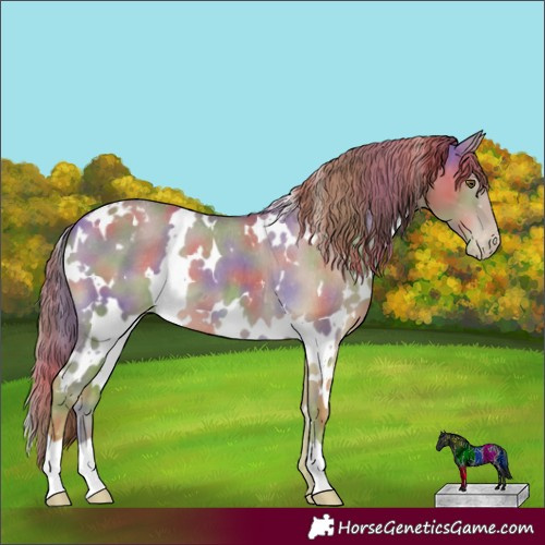 Horse Color:Nacre White Spotted Classic Cream Champagne Dun Appaloosa 