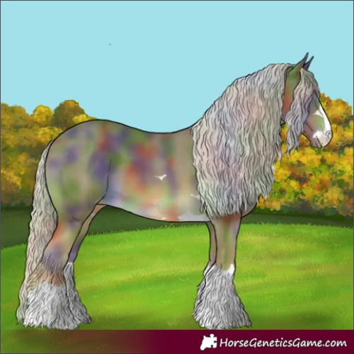 Horse Color:Nacre Chocolate Palomino Appaloosa 