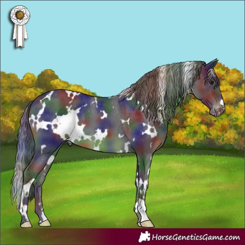 Horse Color:Nacre White Spotted Smoky Black Appaloosa 